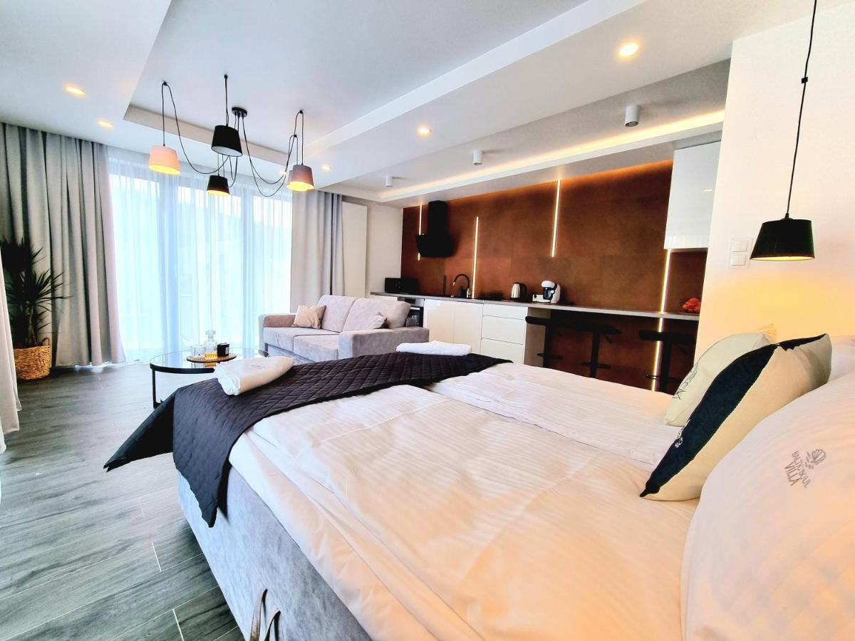 Baltic Soul Villa ミエンジズドロイェ エクステリア 写真
