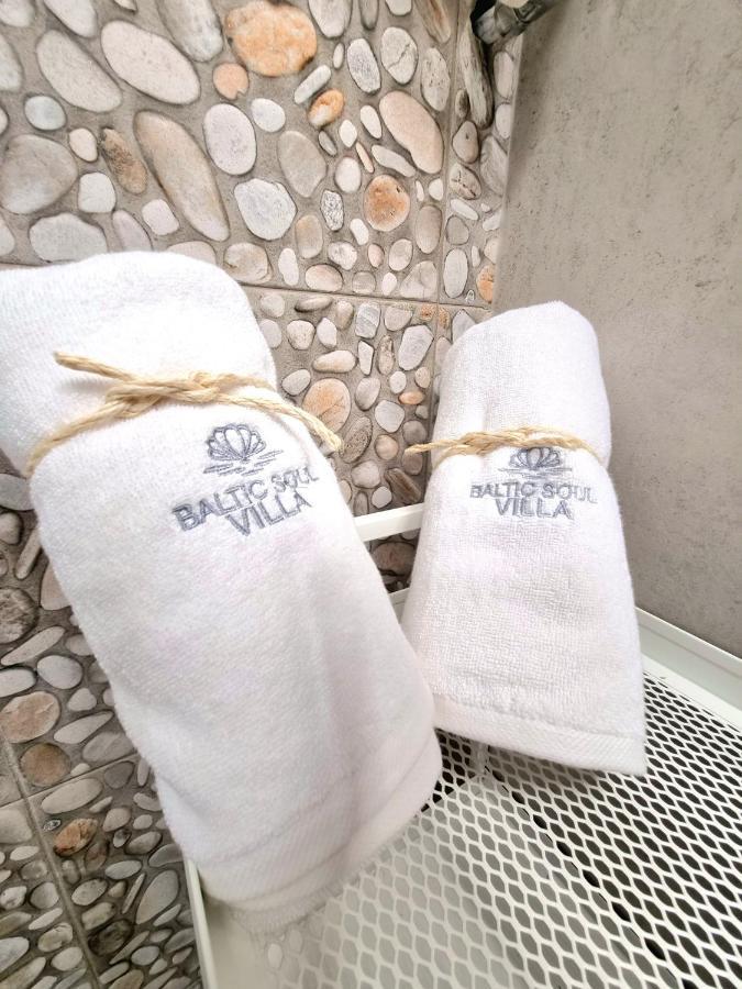 Baltic Soul Villa ミエンジズドロイェ エクステリア 写真